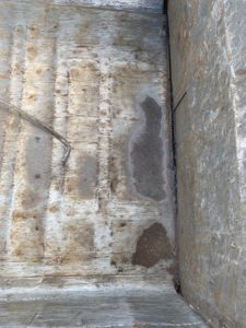 IMG_0869