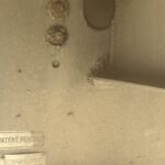 IMG_8778